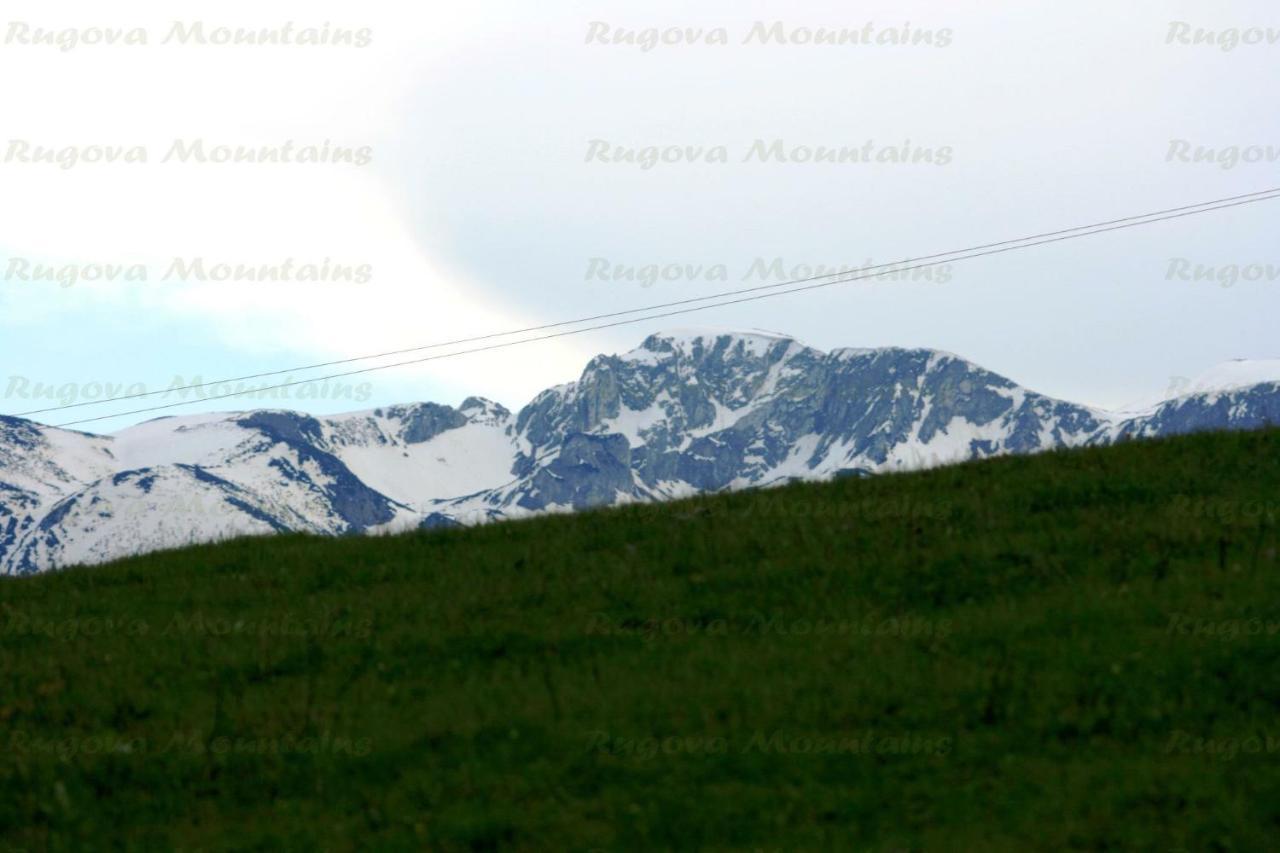 Bungalows-Oaza Vusanje Bagian luar foto
