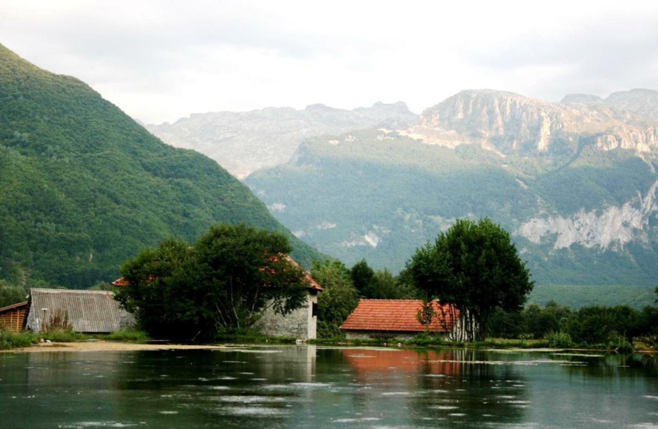 Bungalows-Oaza Vusanje Bagian luar foto