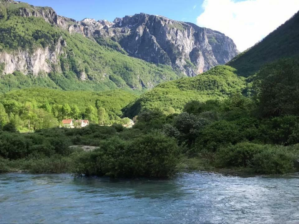 Bungalows-Oaza Vusanje Bagian luar foto