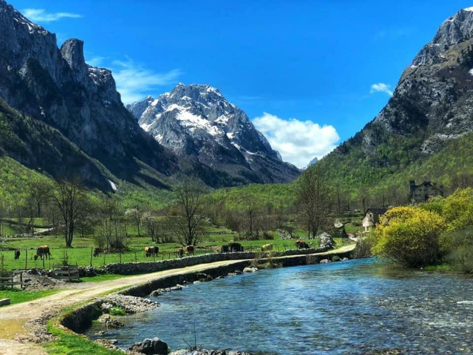 Bungalows-Oaza Vusanje Bagian luar foto