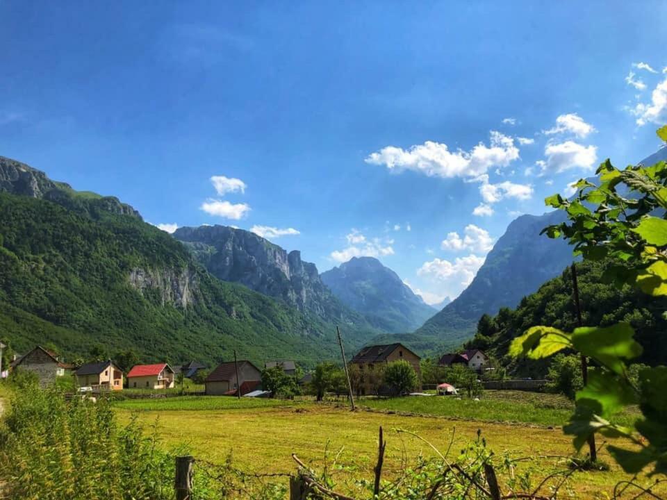 Bungalows-Oaza Vusanje Bagian luar foto